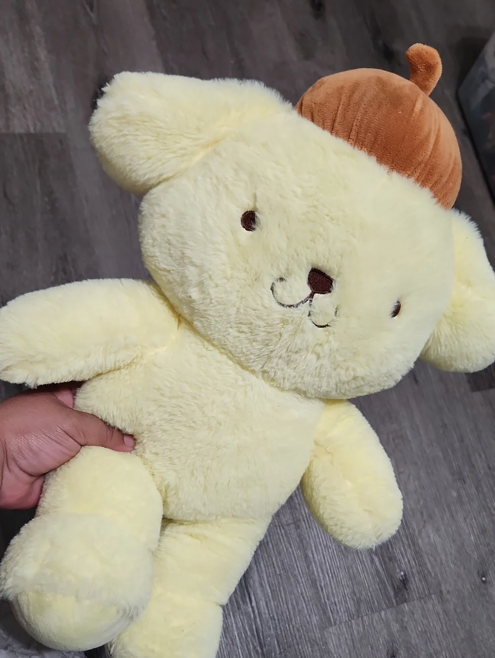 Build A Bear Sanrio Plush